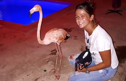 Blog van Jaimy in Curacao