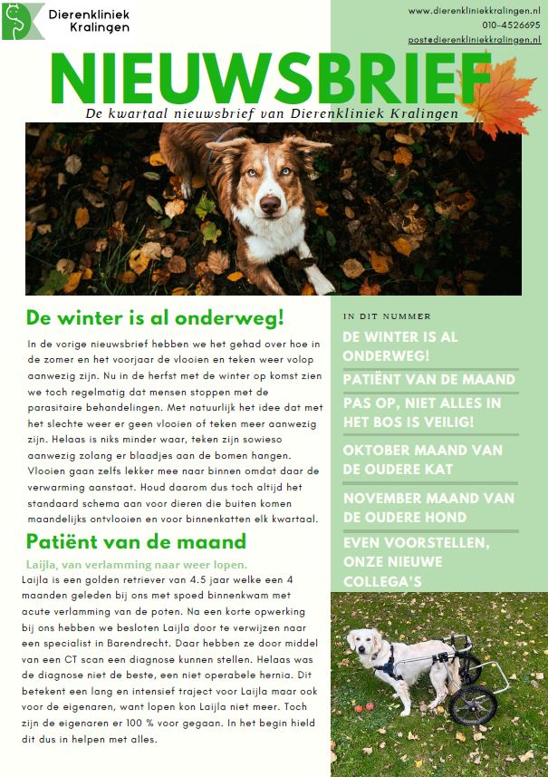 Nieuwsbrief herfst 2024