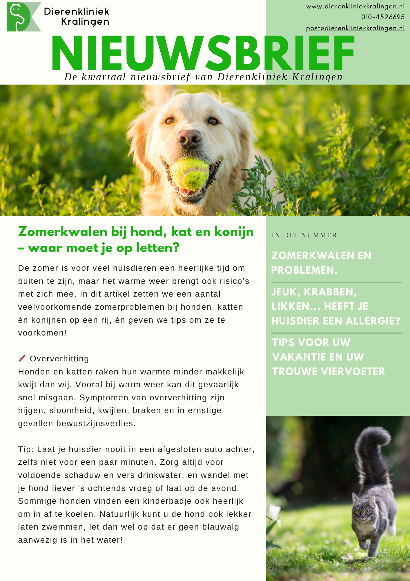 Nieuwsbrief Zomer 2025